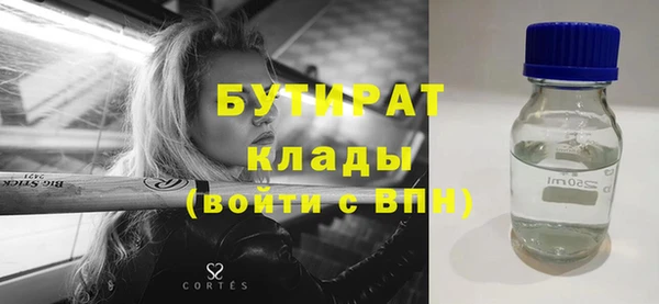 тгк Дмитриев