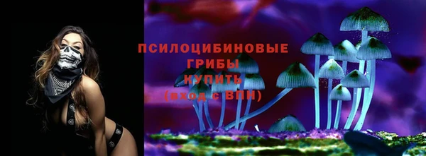 прущая мука Вязники