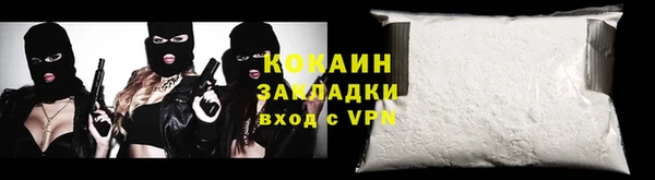 тгк Дмитриев