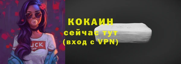 тгк Дмитриев