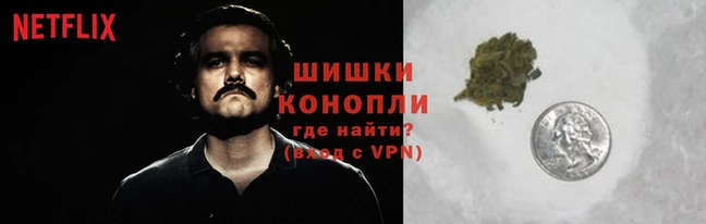 шишки Дмитровск