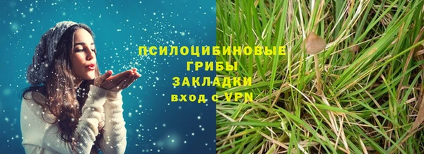 мдпв Вязьма