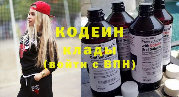 тгк Дмитриев
