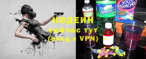 мдпв Вязьма