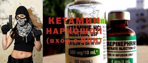 шишки Дмитровск