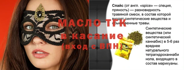 тгк Дмитриев