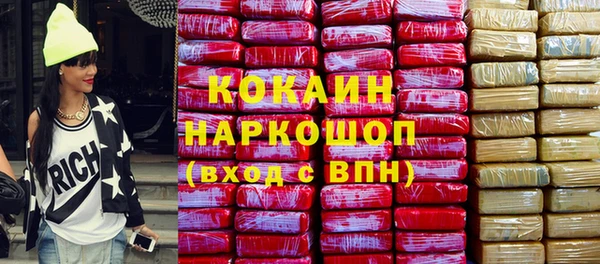 шишки Дмитровск