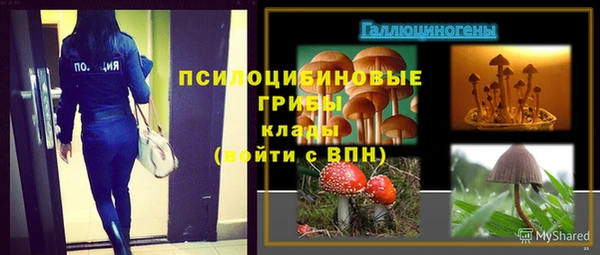 шишки Дмитровск