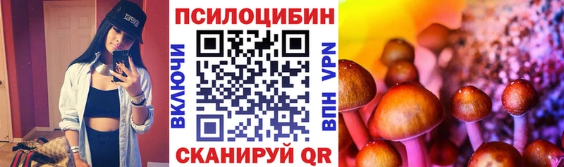 как найти наркотики  Новочебоксарск  Псилоцибиновые грибы Psilocybine cubensis 